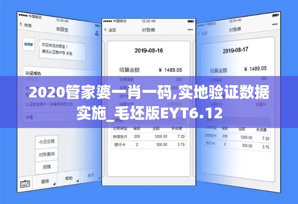 2020管家婆一肖一码,实地验证数据实施_毛坯版EYT6.12