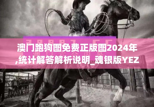 澳门跑狗图免费正版图2024年,统计解答解析说明_魂银版YEZ9.18