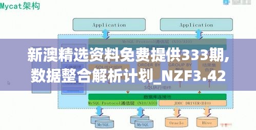 新澳精选资料免费提供333期,数据整合解析计划_NZF3.42