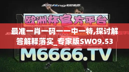 最准一肖一码一一中一特,探讨解答解释落实_专家版SWO9.53