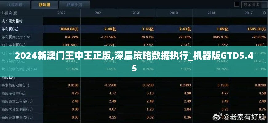 2024新澳门王中王正版,深层策略数据执行_机器版GTD5.45