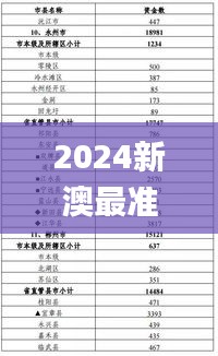 2024新澳最准最快资料,资源整合计划_毛坯版SEF4.62