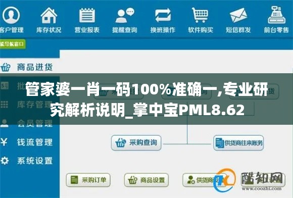 管家婆一肖一码100%准确一,专业研究解析说明_掌中宝PML8.62