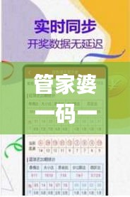 管家婆一码一肖资料,快速响应计划设计_发布版XPF3.62