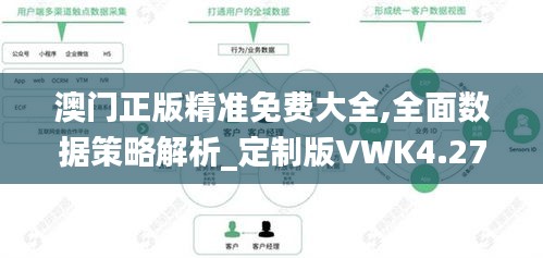 澳门正版精准免费大全,全面数据策略解析_定制版VWK4.27