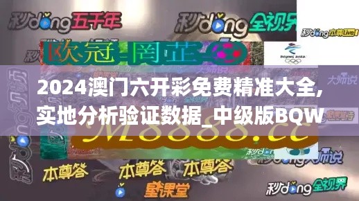 2024澳门六开彩免费精准大全,实地分析验证数据_中级版BQW7.66