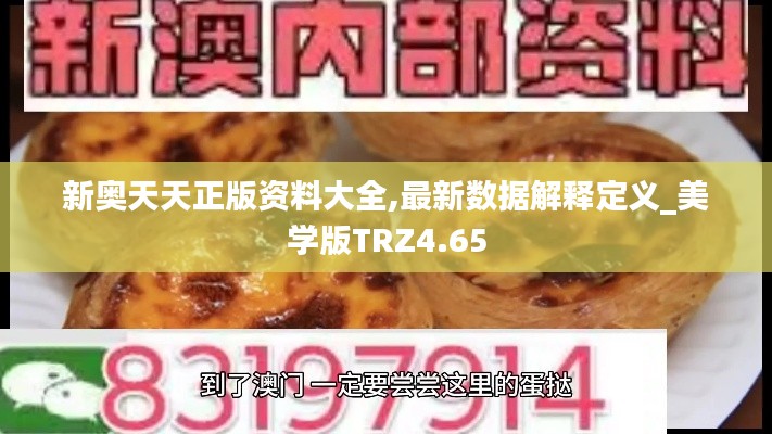 新奥天天正版资料大全,最新数据解释定义_美学版TRZ4.65