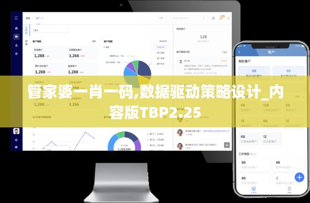 管家婆一肖一码,数据驱动策略设计_内容版TBP2.25