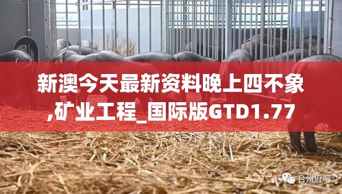 新澳今天最新资料晚上四不象,矿业工程_国际版GTD1.77