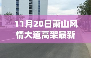 11月20日萧山风情大道高架新貌，变化中的学习力量铸就自信与成就之路