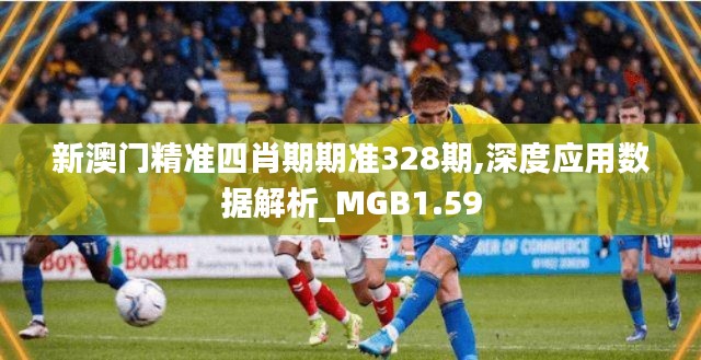 新澳门精准四肖期期准328期,深度应用数据解析_MGB1.59