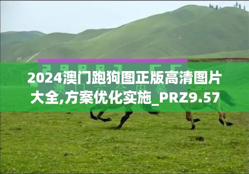 2024澳门跑狗图正版高清图片大全,方案优化实施_PRZ9.57