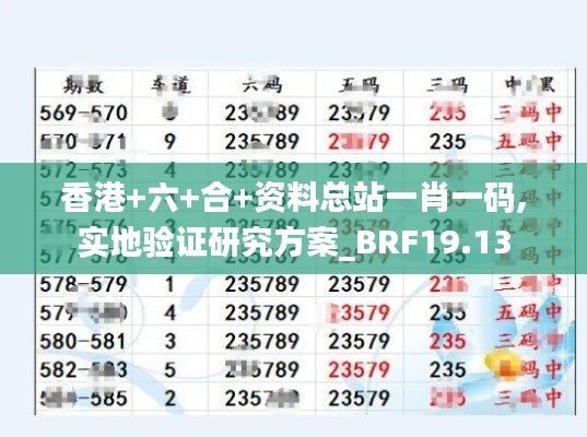 香港+六+合+资料总站一肖一码,实地验证研究方案_BRF19.13