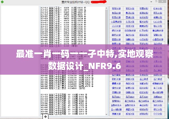 最准一肖一码一一孑中特,实地观察数据设计_NFR9.6