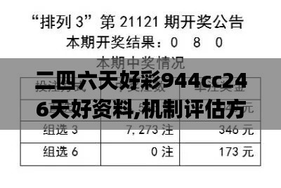 二四六天好彩944cc246天好资料,机制评估方案_XRI19.35