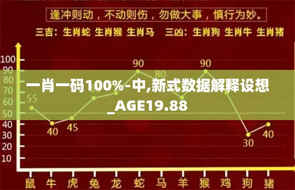 一肖一码100%-中,新式数据解释设想_AGE19.88