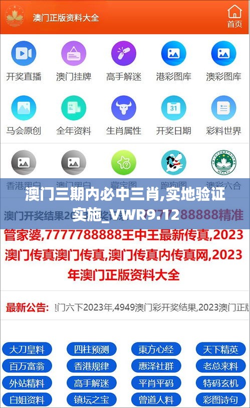 澳门三期内必中三肖,实地验证实施_VWR9.12