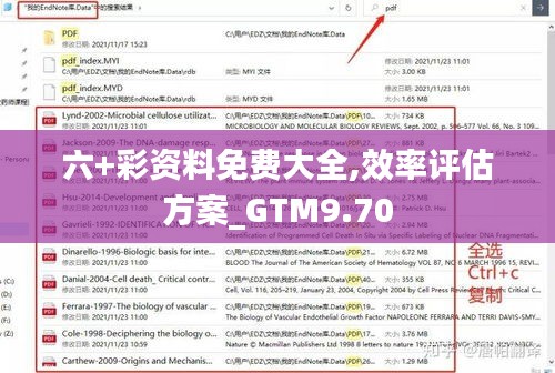 六+彩资料免费大全,效率评估方案_GTM9.70