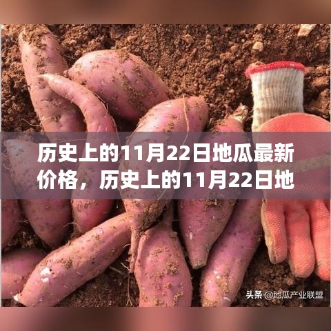 关于我们 第511页