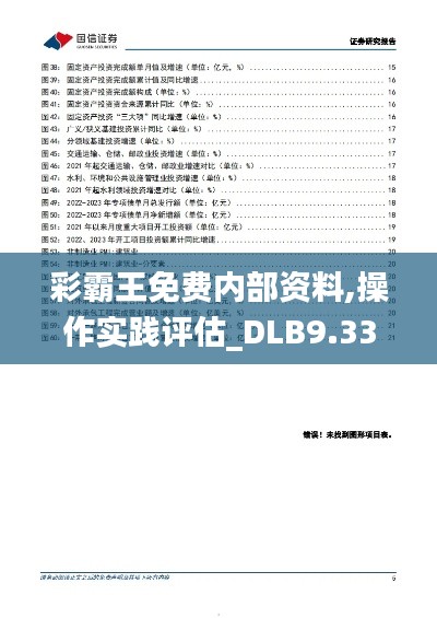 彩霸王免费内部资料,操作实践评估_DLB9.33