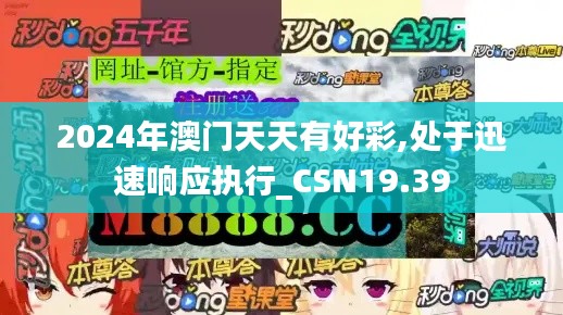 2024年澳门天天有好彩,处于迅速响应执行_CSN19.39