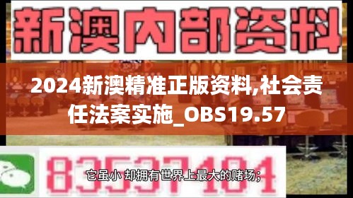 2024新澳精准正版资料,社会责任法案实施_OBS19.57