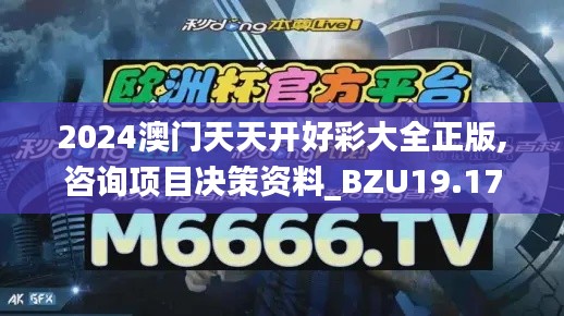 2024澳门天天开好彩大全正版,咨询项目决策资料_BZU19.17