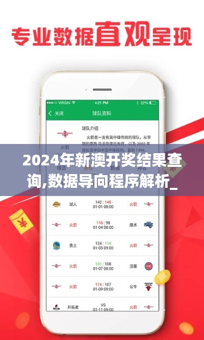 2024年新澳开奖结果查询,数据导向程序解析_RJQ19.49