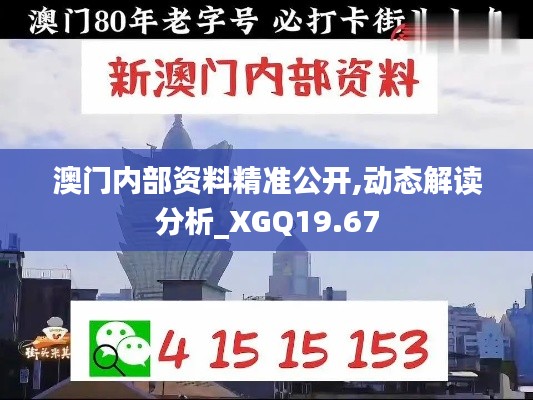 澳门内部资料精准公开,动态解读分析_XGQ19.67