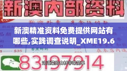 新澳精准资料免费提供网站有哪些,实践调查说明_XME19.69