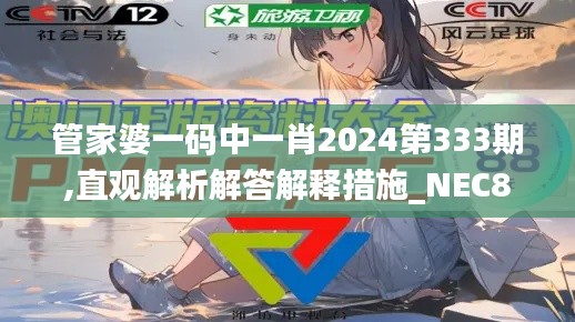 管家婆一码中一肖2024第333期,直观解析解答解释措施_NEC8.64