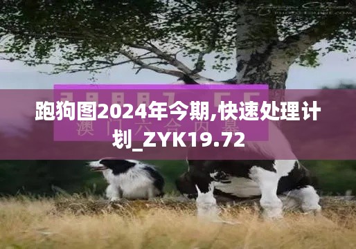 既往不咎 第6页