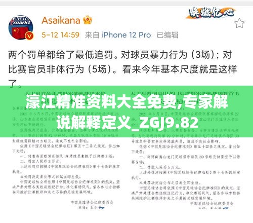 濠江精准资料大全免费,专家解说解释定义_ZGJ9.82