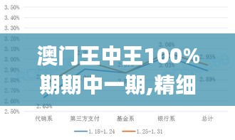 澳门王中王100%期期中一期,精细评估方案_CPD19.87