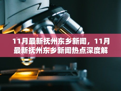 11月抚州东乡新闻热点深度解析