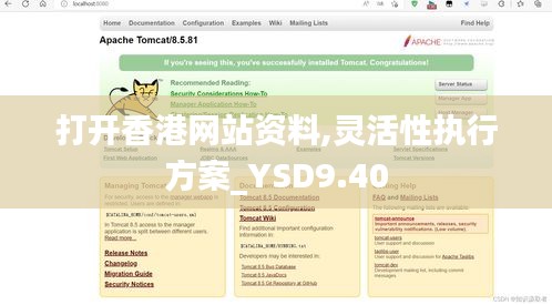 打开香港网站资料,灵活性执行方案_YSD9.40