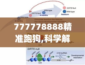 777778888精准跑狗,科学解说指法律_JTR19.54