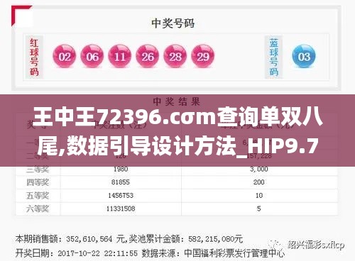 王中王72396.cσm查询单双八尾,数据引导设计方法_HIP9.74