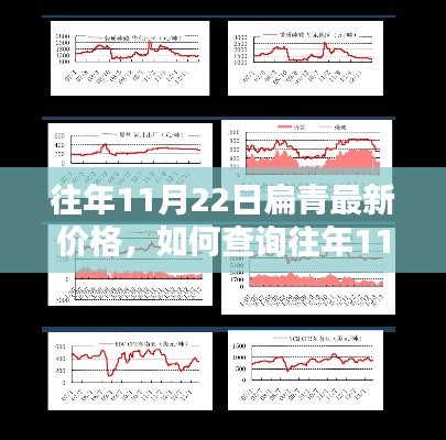 关于我们 第498页