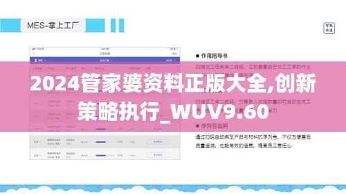 2024管家婆资料正版大全,创新策略执行_WUV9.60