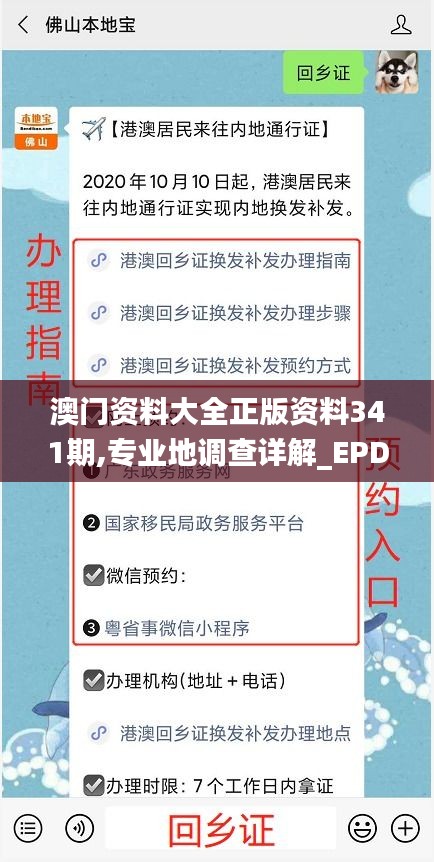 澳门资料大全正版资料341期,专业地调查详解_EPD9.85