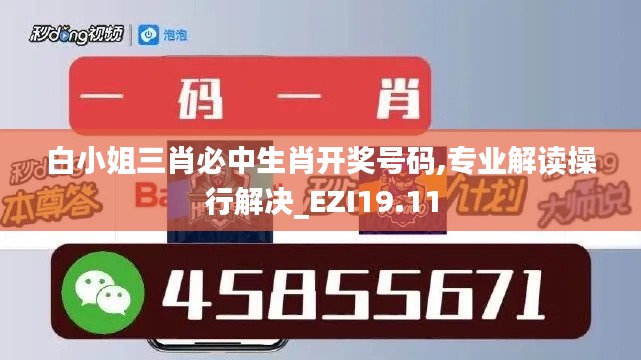 白小姐三肖必中生肖开奖号码,专业解读操行解决_EZI19.11