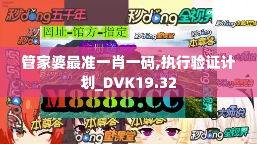 管家婆最准一肖一码,执行验证计划_DVK19.32