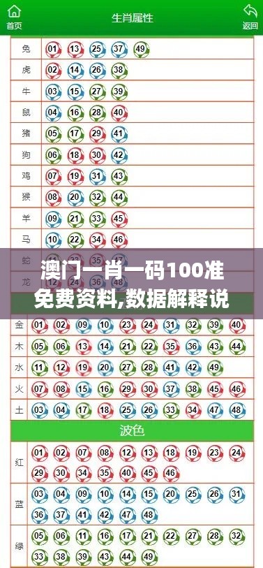 澳门一肖一码100准免费资料,数据解释说明规划_QYF19.28