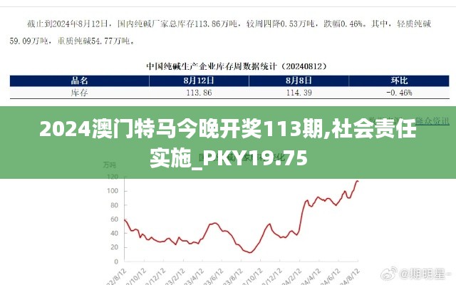 2024澳门特马今晚开奖113期,社会责任实施_PKY19.75