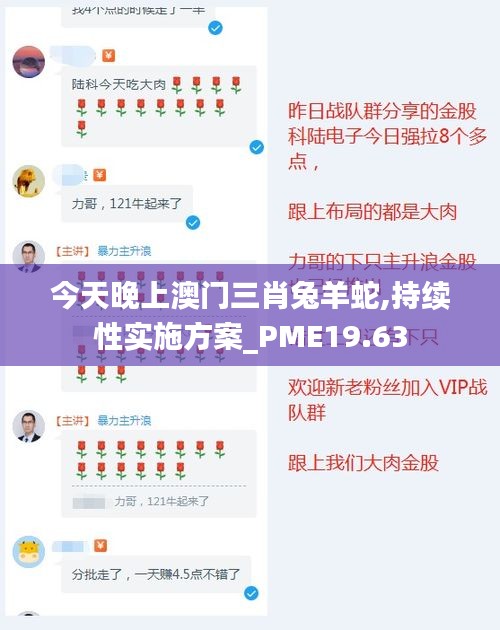 今天晚上澳门三肖兔羊蛇,持续性实施方案_PME19.63