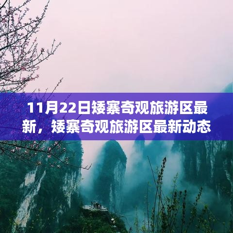 矮寨奇观旅游区最新动态，多元观点下的探析