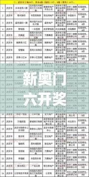 新奥门六开奖结果2024开奖记录,精细化实施分析_IGY9.60