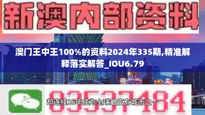 澳门王中王100%的资料2024年335期,精准解释落实解答_IOU6.79