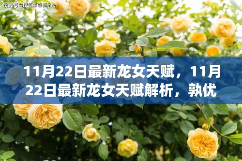 11月22日龙女天赋深度解析，优劣对比与个人立场观点碰撞